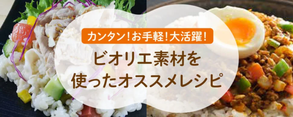 帝人ビオリエのレシピサイト